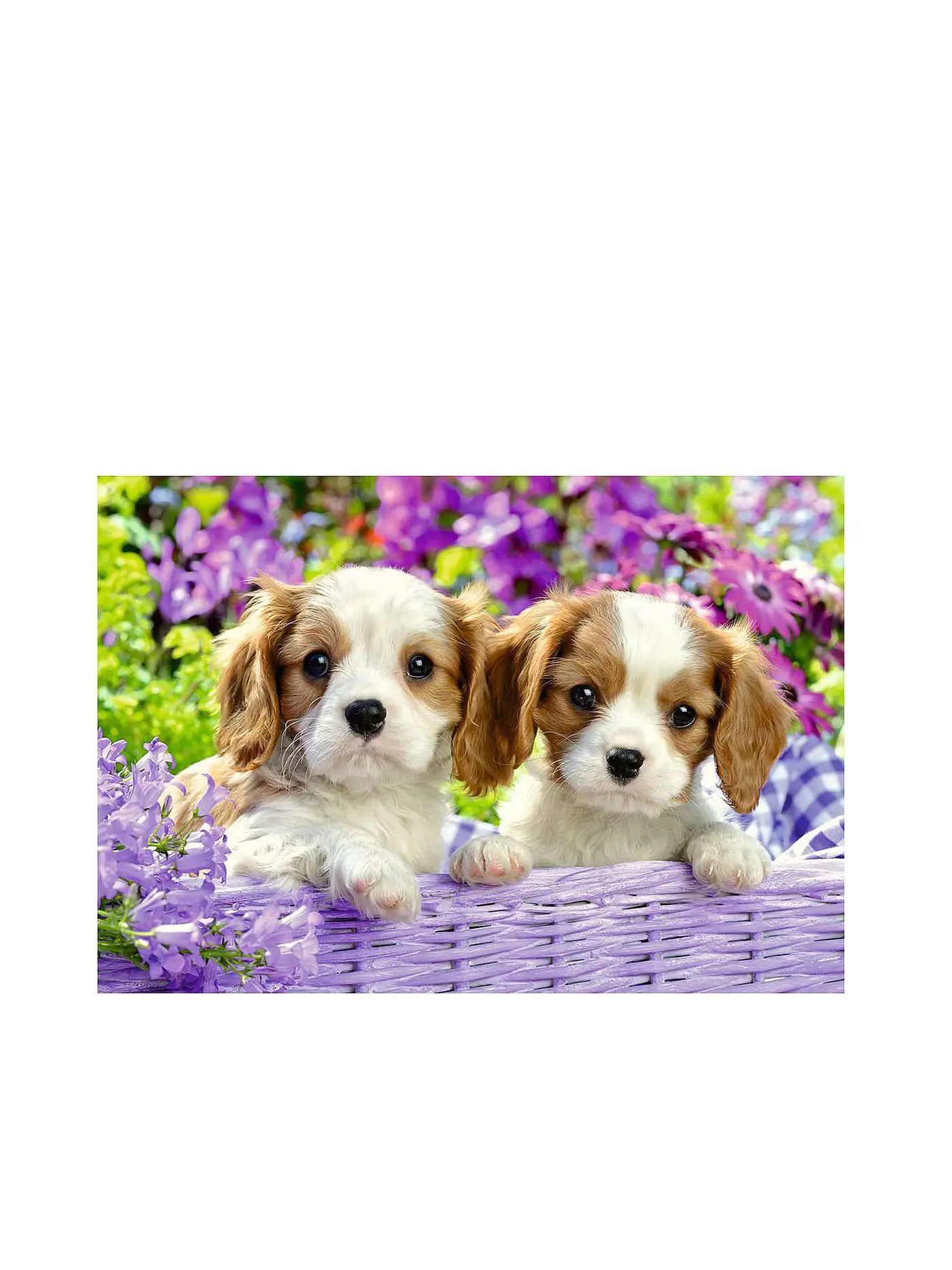 RAVENSBURGER | Puzzle - Freunde mit Fell 2x24 Teile | 